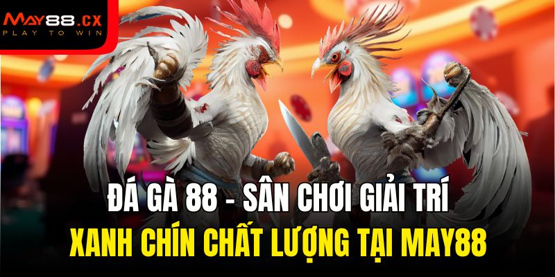 đá gà 88