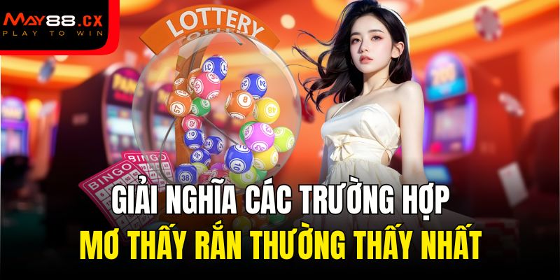 Giải nghĩa các trường hợp mơ thấy rắn thường thấy nhất