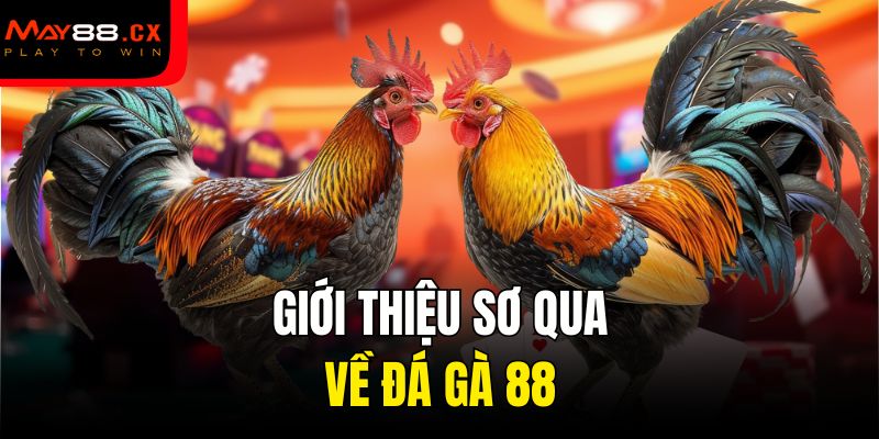 Giới thiệu sơ qua về đá gà 88
