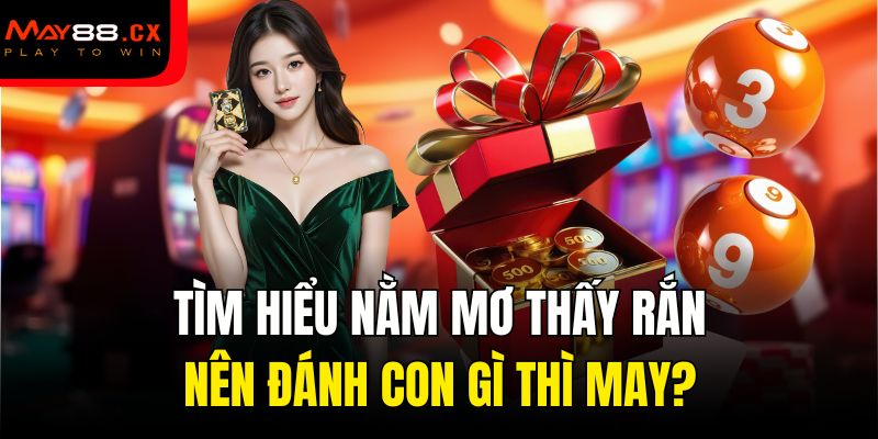 Tìm hiểu nằm mơ thấy rắn nên đánh con gì thì may?