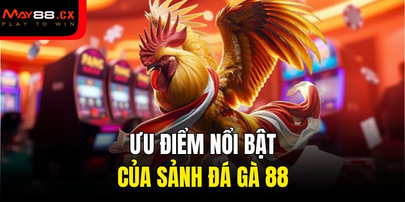Ưu điểm nổi bật của sảnh đá gà 88